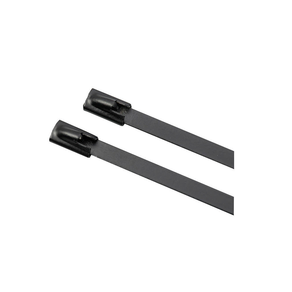 Colliers de serrage inox ball-lock AISI 316 - revêtu