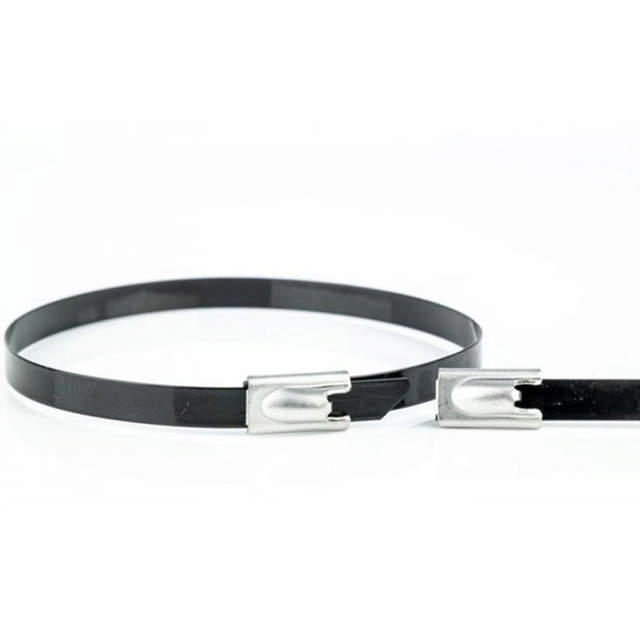 Colliers de serrage inox ball-lock AISI 304 - revêtu